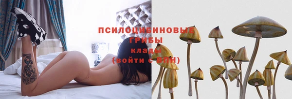 дмт Верея