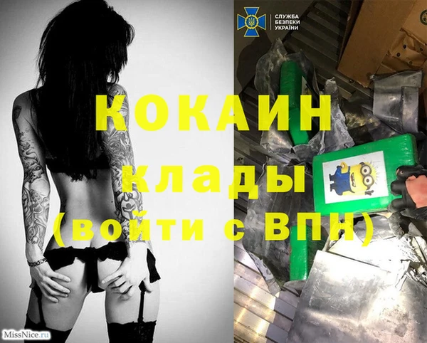 дмт Верея