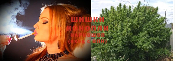 твердый Корсаков