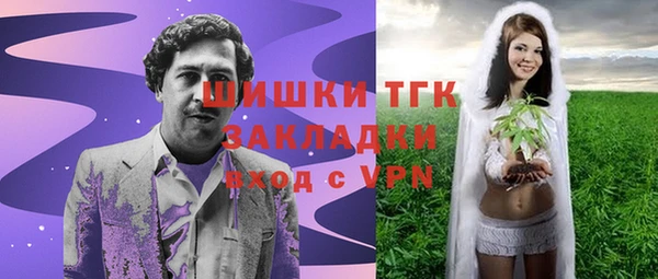 СК Коряжма