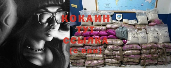 СК Коряжма