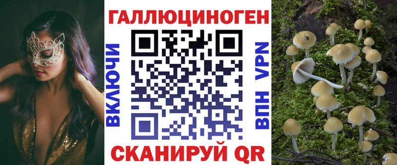 Галлюциногенные грибы Psilocybe  продажа наркотиков  Мелеуз 