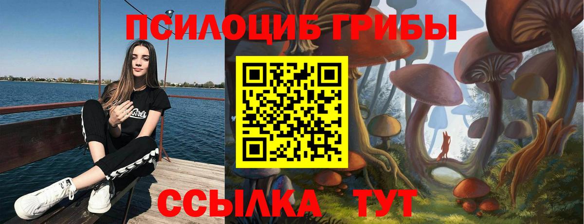 Псилоцибиновые грибы Cubensis  Мелеуз  Псилоцибиновые грибы мухоморы 